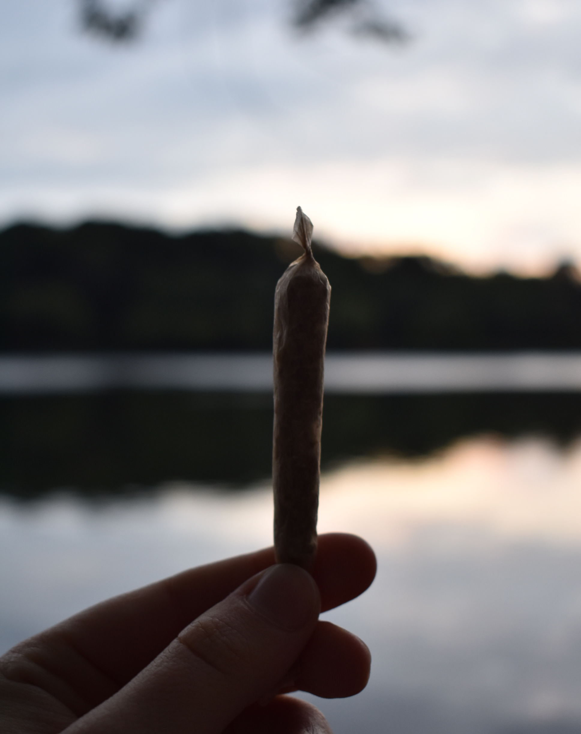 Home Modesto Cannabis Collective