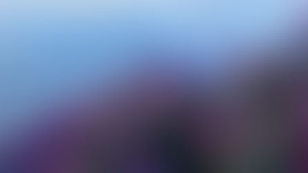 Belleza y color de la naturaleza encuentran los turistas, nacionales y extranjeros, en la Laguna Madre Vieja, La Esperanza