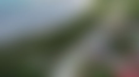 Cuatro comunidades garífunas de Puerto Cortés reciben beneficio con la habilitación de millonario proyecto de pavimentación impulsado por la alcaldesa Martell