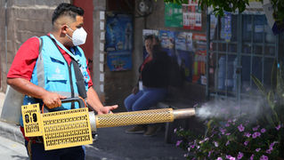 SESAL intensifica acciones de prevención y vigilancia ante el dengue