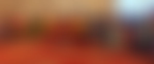 Próximo 20 de julio Zamorano celebrará la XVII edición de la Fiesta Panamericana 2025: un evento impregnado con la esencia de la cultura, gastronomía, y solidaridad regional