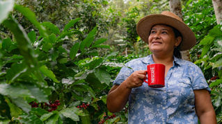 Nestlé Centroamérica reafirma su compromiso con la equidad de género y registra un 54% de mujeres en posiciones de liderazgo