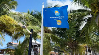 Bandera Azul Ecológica: importante distinción de ecocalidad que esperan recibir este año 21 comités nacionales