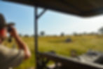 MAN WITH BINOCULARS DURING GAME DRIVE IN SERENGETI
