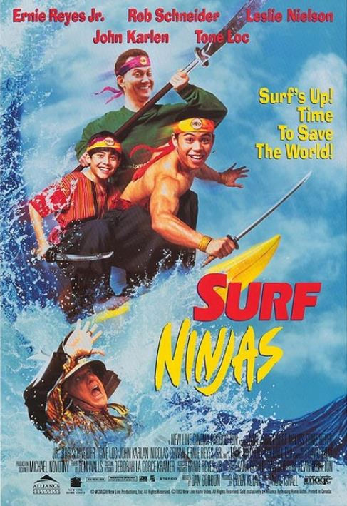 sns1993fls112139
