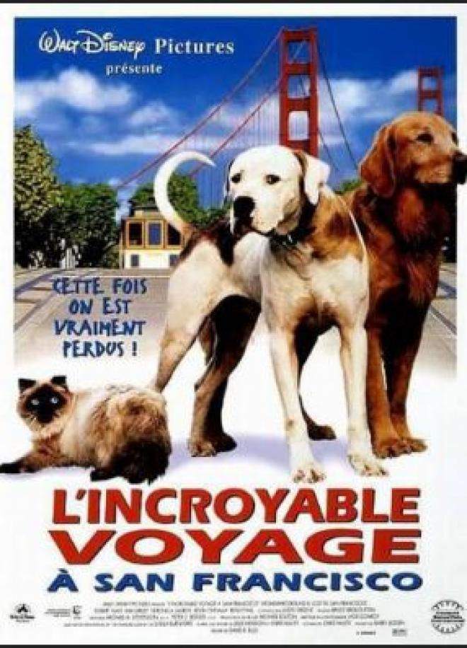 29748-29763-films-chien-comedie-drame-aventure-1993-1996