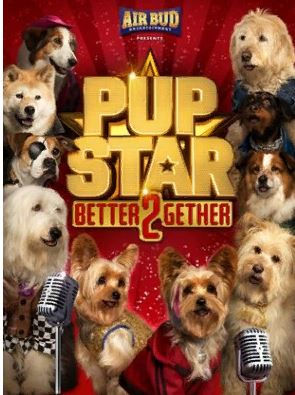 700-257143-psr2017-chien