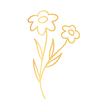 Gold-57_edited_edited.png