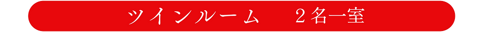 ツイン.png