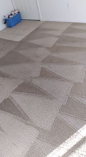 After Carpet Cleaning