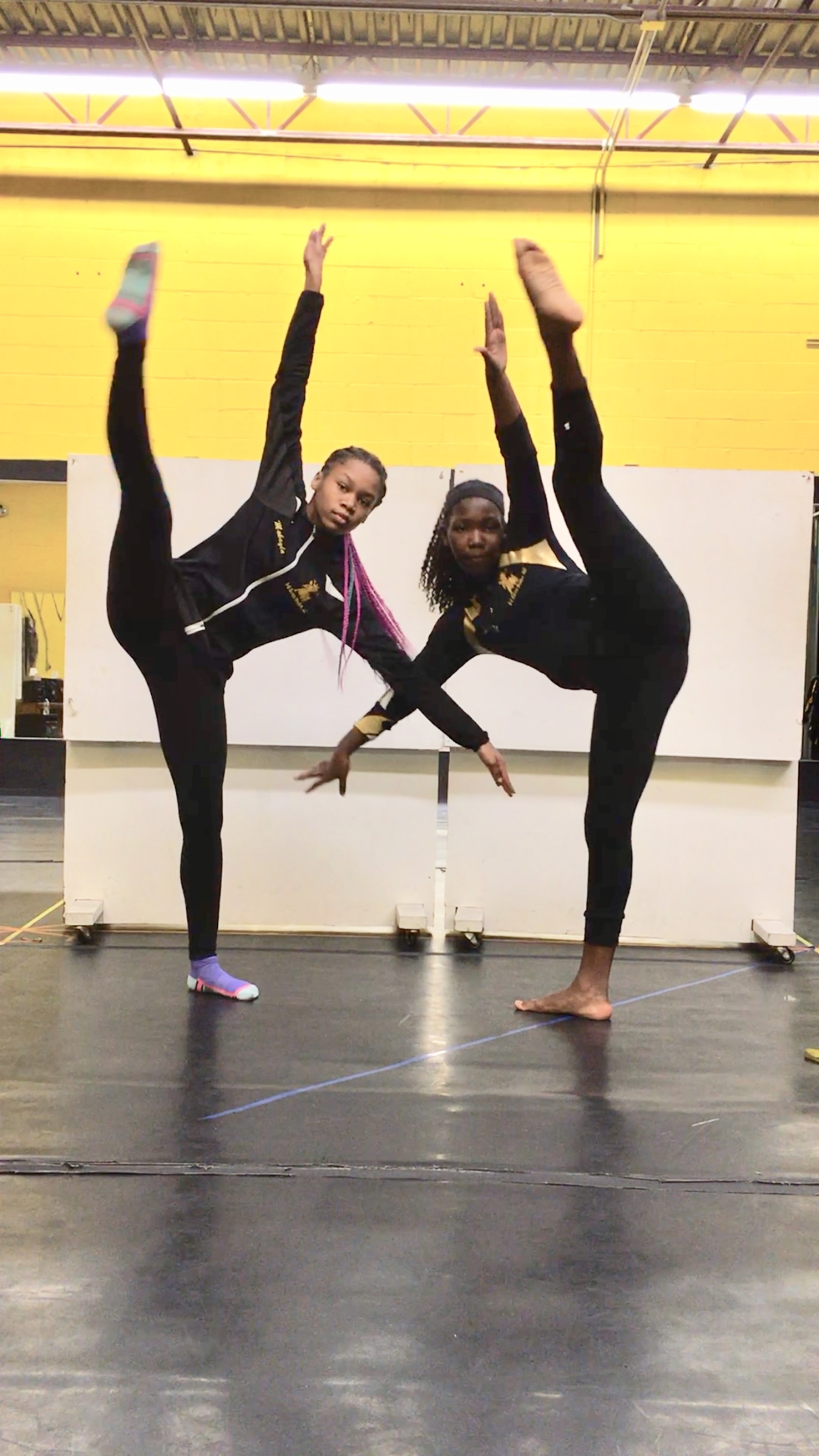 Dance Classes Gallery Long Island, NY 3D Dance Studios