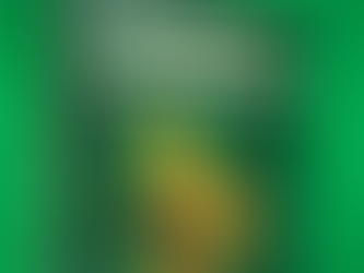 Hunter Schafer se junta ao elenco de 'A Cantiga dos Pássaros e das Serpentes' 