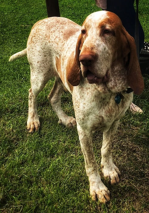 IMG-20180610-WA0006-01.jpeg