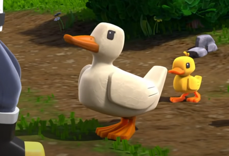 Duck mother