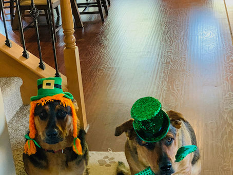 St. Patrick’s Day, Spring Shamrocks, Preparing for 2nd Vaccine