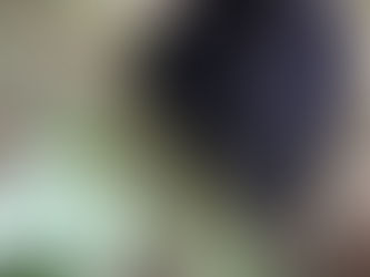 Pet Preparedness, Rape and Assault, Dead Man Talking