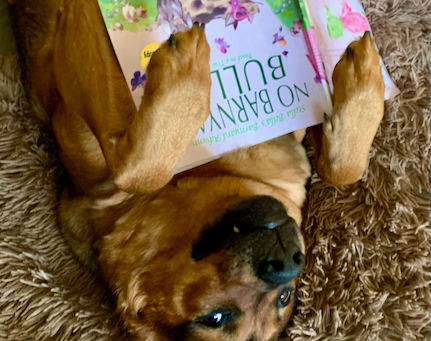 The Joy of Summer Reading