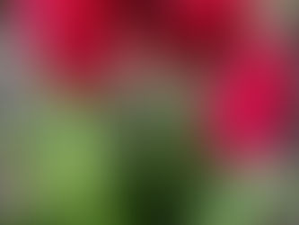 And the Winner Is...