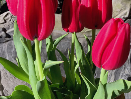 And the Winner Is...