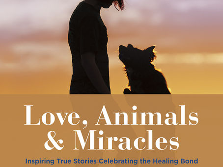 Dr. Bernie Siegel Talks Love, Animals, and Miracles