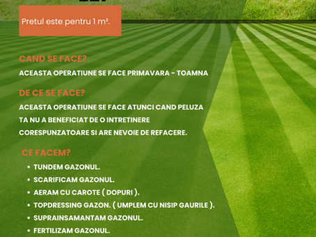 Refacerea peluzei de gazon