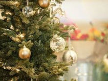 Magical Christmas Joy