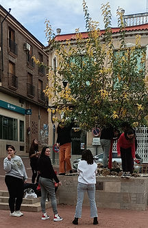 Unos días antes (1).jpg