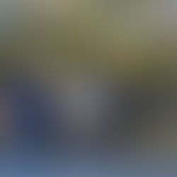 January Trail Clean up 2025