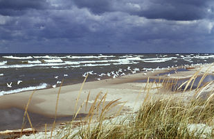 benningtonauthor.com lake michigan