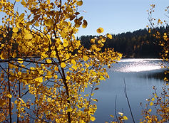 benningtonauthor.com Jette lake, mt