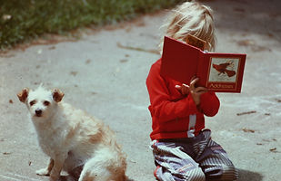 benningtonauthor.com puppy