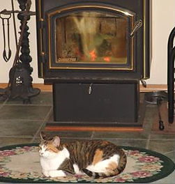 benningtonauthor.com PJ in front of her warm fireplace