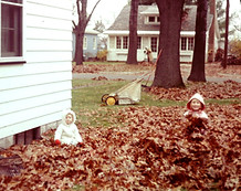 benningtonauthor.com autumn leaves
