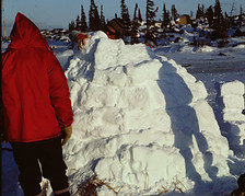benningtonauthor.com igloo