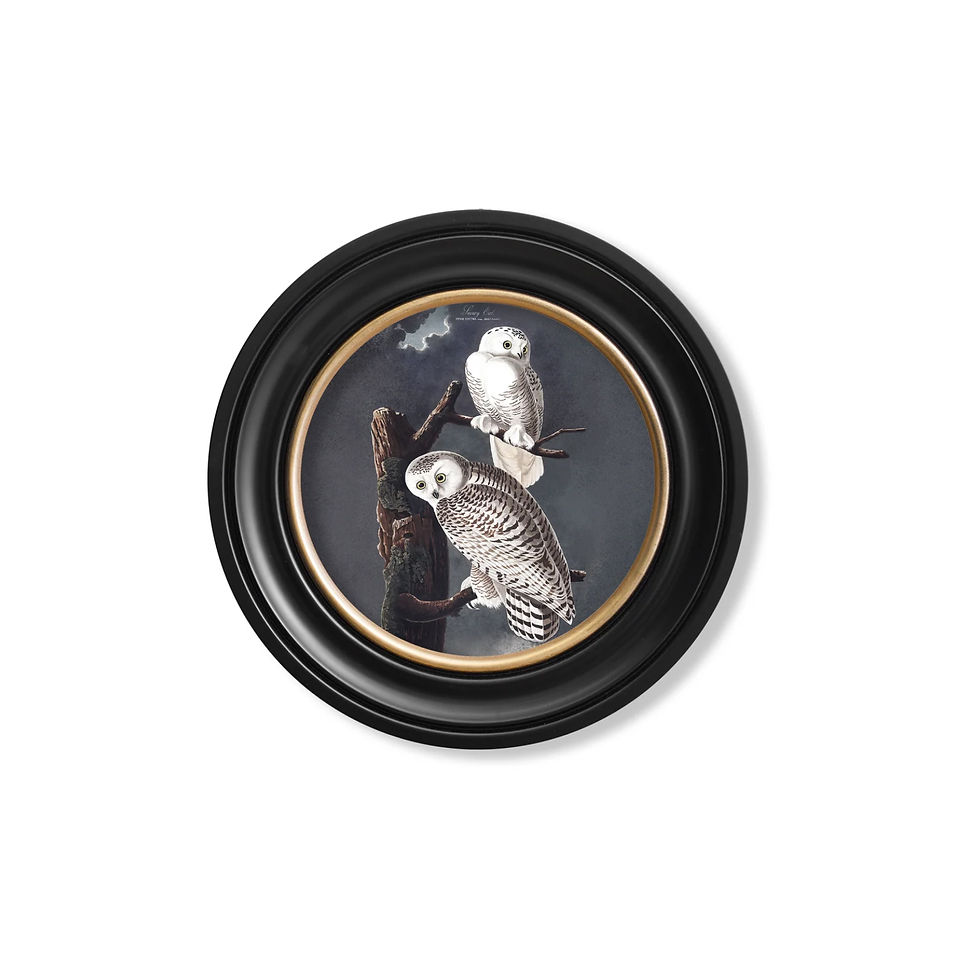 Thumbnail: Classic Owls Framed Circle Prints // Round Frames // Set of 2 or individual