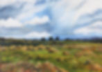 main%20banner%20pic2_edited.jpg