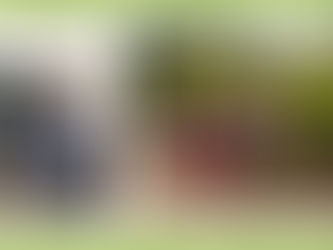 Upper El's Got Spirit! 3/15-3/19