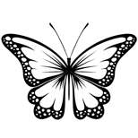 b-w-butterfly-tattoo-s