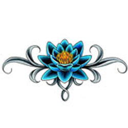 lotus-lower-back-s