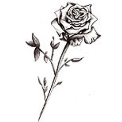 black-rose-tattoo-design-s