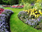 Maintain a Healthy Garden: 8 Essential Summer Gardening Hacks