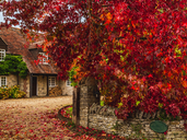 Embracing the Autumn Palette