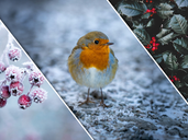 "Heartfelt Thanks to Our Valued Customers this Christmas!"
