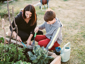 Designing an Accessible Outdoor Area