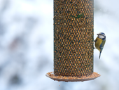 New Year's Resolution - How to be more sustainable in your landscaping