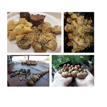 PAPAS - DE LA HUERTA A TU MESA 