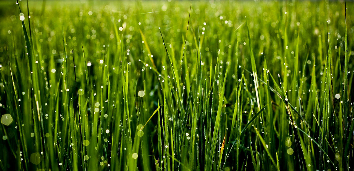 Paul Luther Landscaping and Lime Works Drystone Walling Stroud