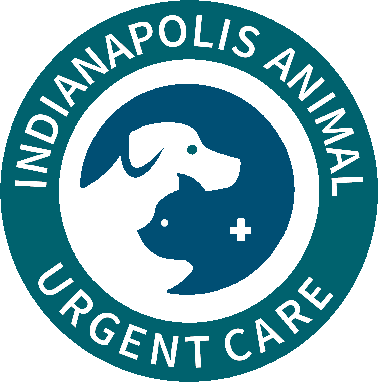 Indianapolis Animal Urgent Care - D2f914 C1ab1b4377354b4b8556d4ef3c9b0dda~mv2