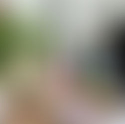 5 Reasons Why Paper Planners and Memo Pads are Making a Major Comeback in 2026