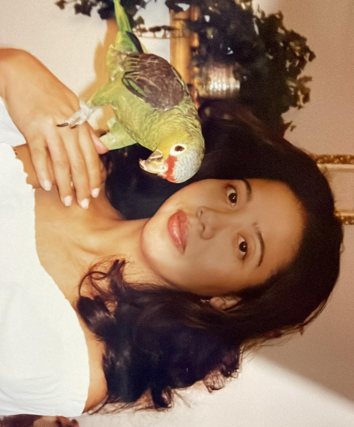 Writer: Angela Chin-Hing